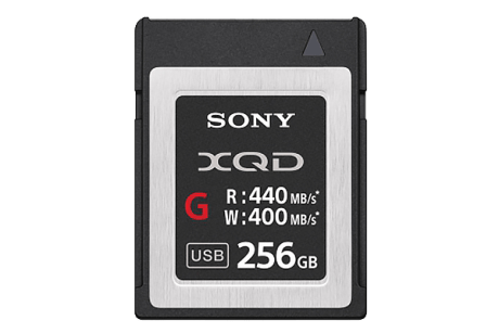 XQD 256GB G Series 600x400